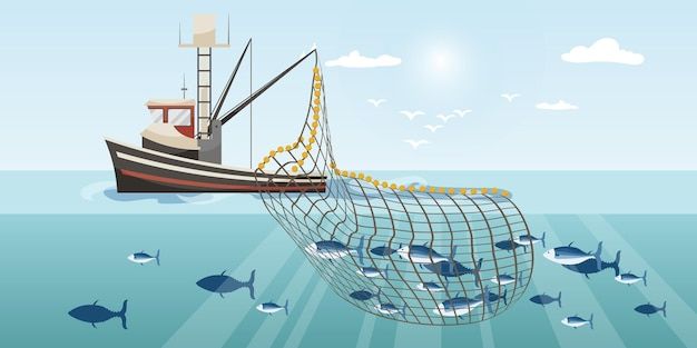 Mombasa Seafood Exports